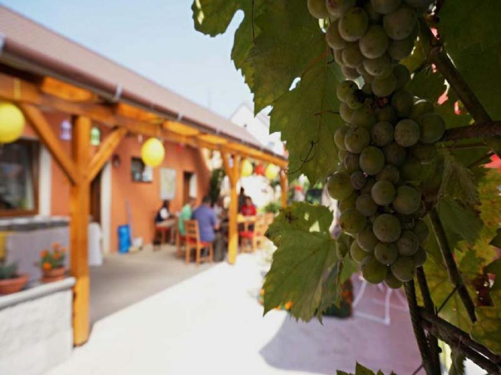 Privat Bohemia Hotell Šatov Exteriör bild